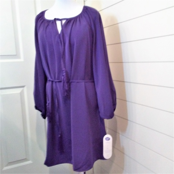 Diane Gilman Tunic Style Dress Purple Size M NWT - Picture 2 of 8